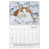 Der Platz-Kalender des Tabbys Kalender (Mär 2027)