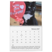 Der Platz-Kalender des Tabbys Kalender (Feb 2027)
