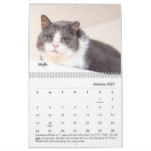 Der Platz-Kalender des Tabbys Kalender (Jan 2027)