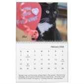 Der Platz-Kalender des Tabbys Kalender (Feb 2026)