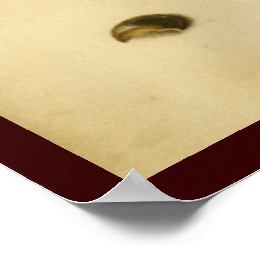 DER PLATZ MIT NUTEN POSTER (Ecke)