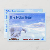 Der Polarbär ist ein gefährdetes Tier - hier, a - Postkarte (Vorne/Hinten)