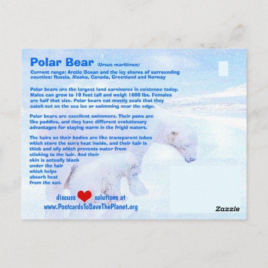 Der Polarbär ist ein gefährdetes Tier - hier, a - Postkarte (Rückseite)