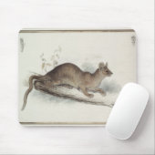 Der Polecat, 19. Jahrhundert Mousepad (Mit Mouse)