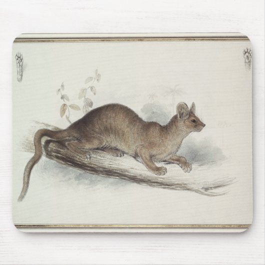Der Polecat, 19. Jahrhundert Mousepad (Vorne)