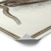 Der Polecat aus dem 19. Jahrhundert Poster (Ecke)