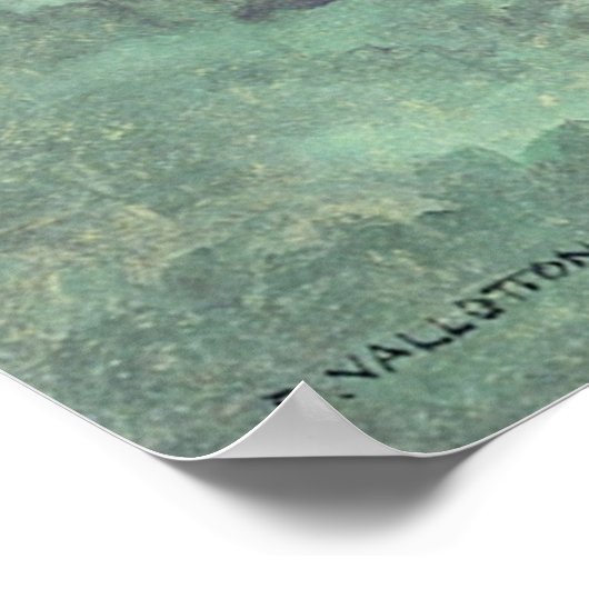 DER POND POSTER (Ecke)