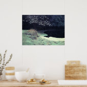 DER POND POSTER (Küche)