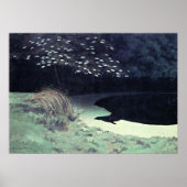 DER POND POSTER (Vorne)