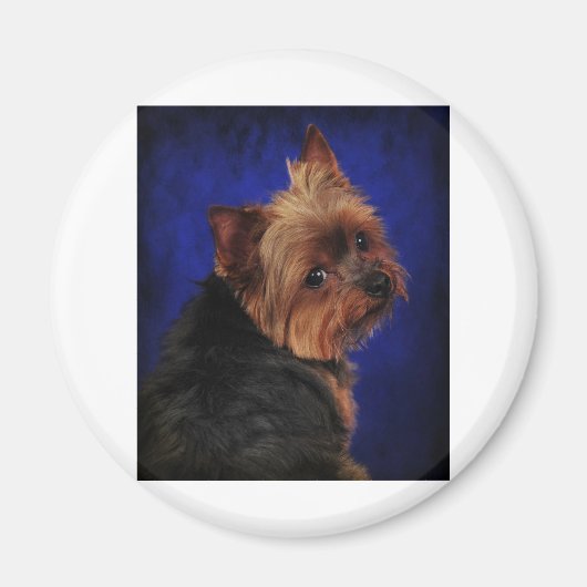 Der Poser Magnet (Vorne)