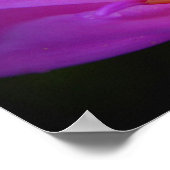 Der Poser Poster (Ecke)