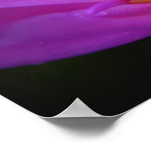 Der Poser Poster (Ecke)