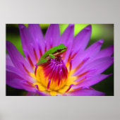 Der Poser Poster (Vorne)