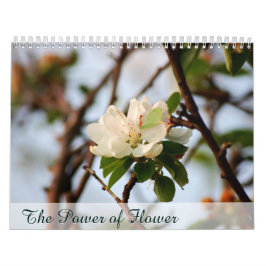 Der Power der Blume Kalender
