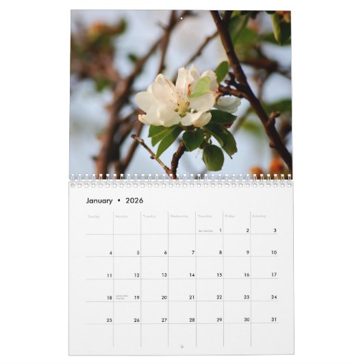 Der Power der Blume Kalender (Jan 2026)