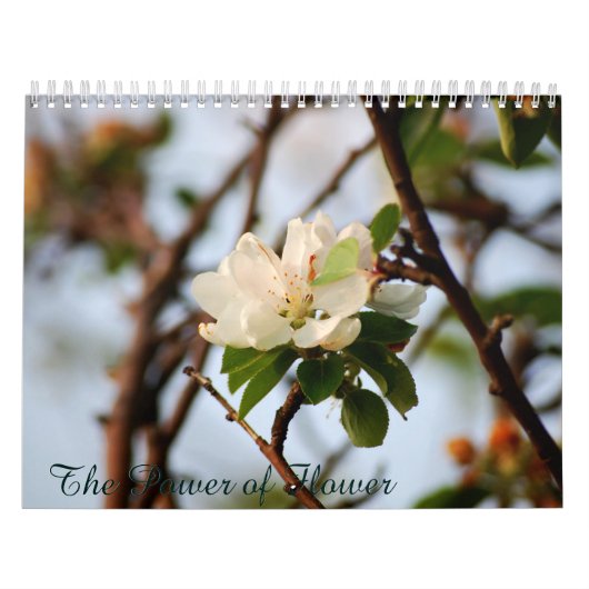 Der Power der Blume Kalender (Titelbild)