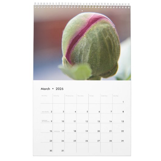 Der Power der Blume Kalender (Mär 2026)