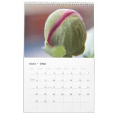 Der Power der Blume Kalender (Mär 2026)