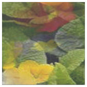 Der Power der Blume... Stoff (Nahaufnahme)