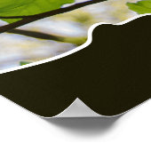 Der Power der Natur, Foto aus Baumblättern Poster (Ecke)