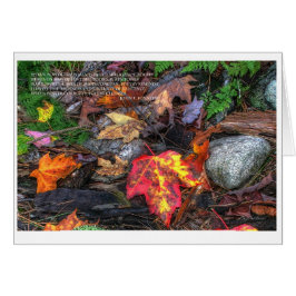 Der Power von Poesie