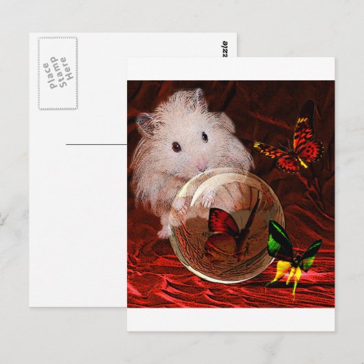 DER PRAKTIKUM POSTKARTE (Vorne/Hinten)