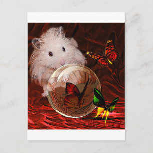 DER PRAKTIKUM POSTKARTE