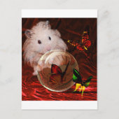 DER PRAKTIKUM POSTKARTE (Vorderseite)