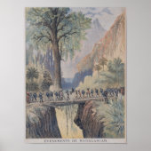 Der Präsident Madagaskars Poster (Vorne)