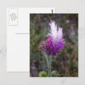 Der prickly Punk Postkarte (Vorne/Hinten)