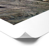 Der Prophet Daniel von Michelangelo Buonarroti Poster (Ecke)