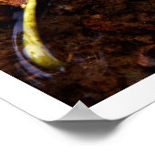 der Prospektor Poster (Ecke)