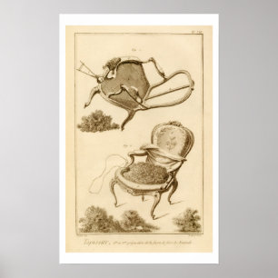 Der Prozess der Polsterung eines Stuhls, aus dem ' Poster