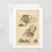 Der Prozess der Polsterung eines Stuhls, aus dem ' Postkarte (Vorne/Hinten)