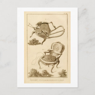 Der Prozess der Polsterung eines Stuhls, aus dem ' Postkarte