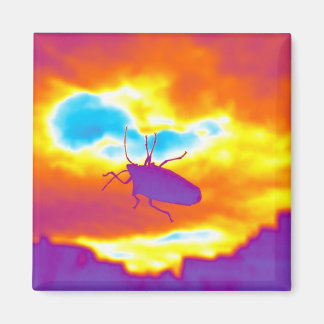 Der psychedelische Fehler Magnet