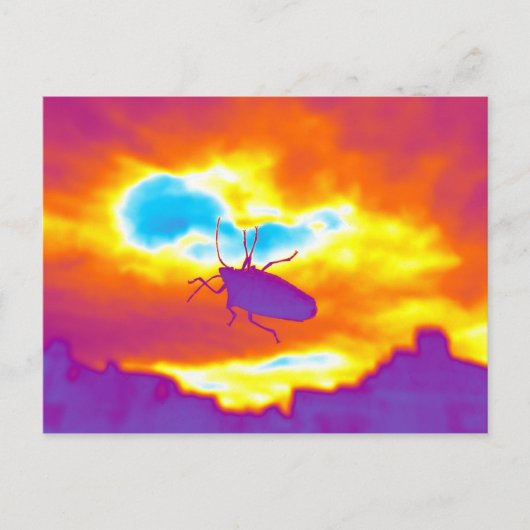 Der psychedelische Fehler Postkarte (Vorderseite)