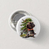 Der Pudelpointer Button (Vorne & Hinten)