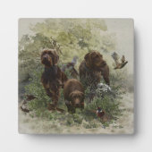 Der Pudelpointer Fotoplatte (Vorderseite)