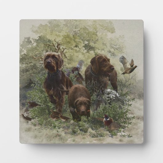 Der Pudelpointer Fotoplatte (Vorderseite)