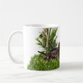 Der Pudelpointer Kaffeetasse (Links)