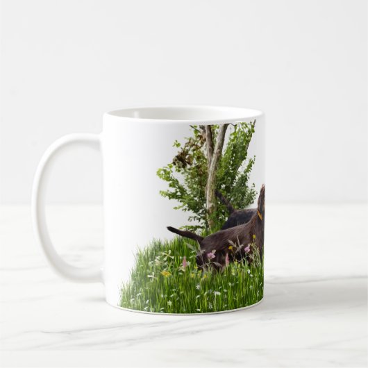 Der Pudelpointer Kaffeetasse (Links)