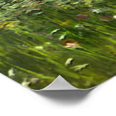 Der Pudelpointer Poster (Ecke)