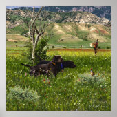 Der Pudelpointer Poster (Vorne)