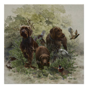 Der Pudelpointer Poster