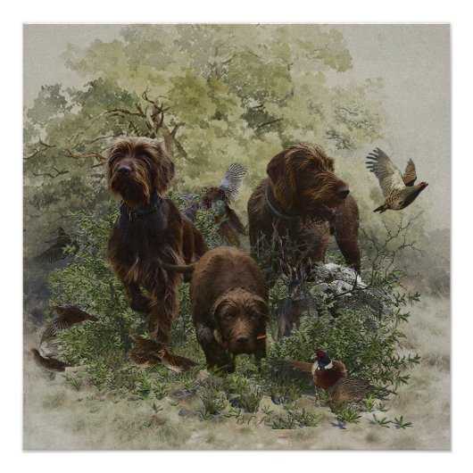 Der Pudelpointer Poster (Vorderseite)