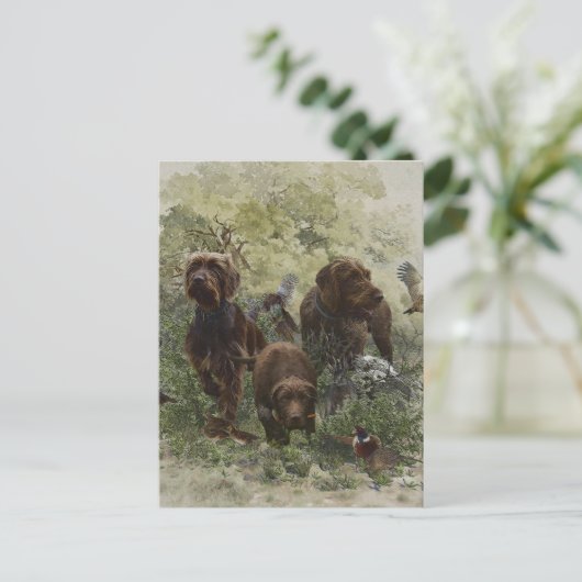 Der Pudelpointer Postkarte (Stehend Vorderseite)