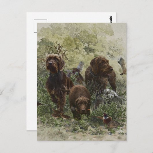 Der Pudelpointer Postkarte (Vorne/Hinten)