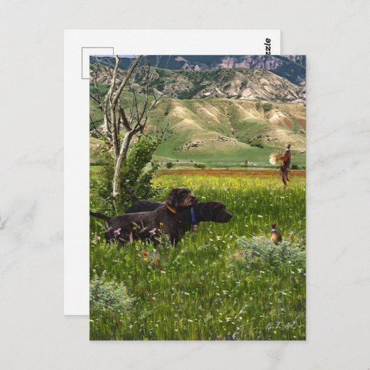 Der Pudelpointer Postkarte (Vorne/Hinten)