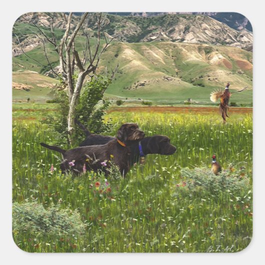 Der Pudelpointer Quadratischer Aufkleber (Vorderseite)